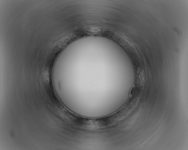 X0000113360562200910061042