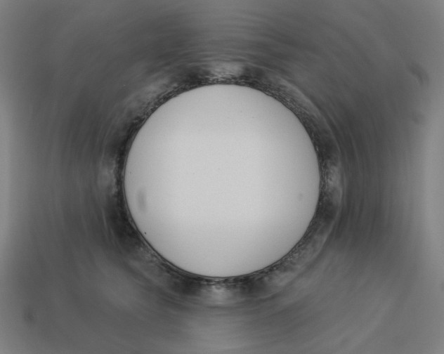 X0000113360565200910061042