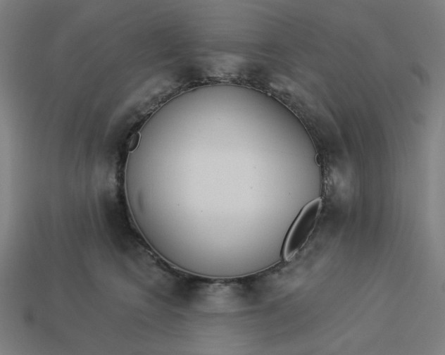 X0000113360566200910061042