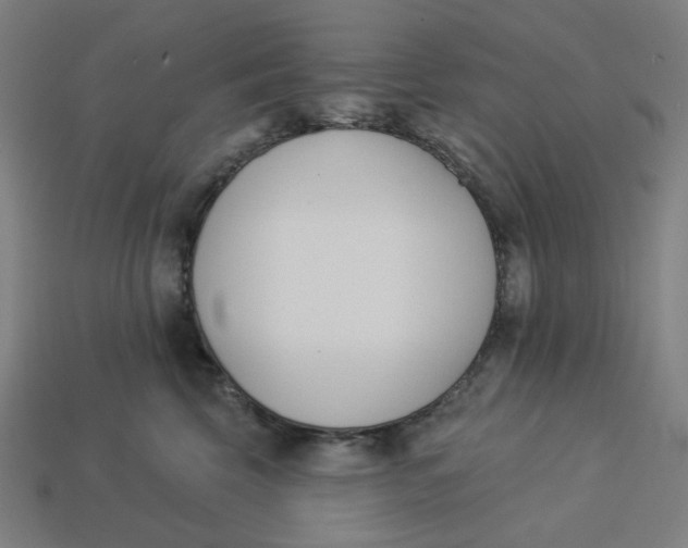 X0000113360569200910061042