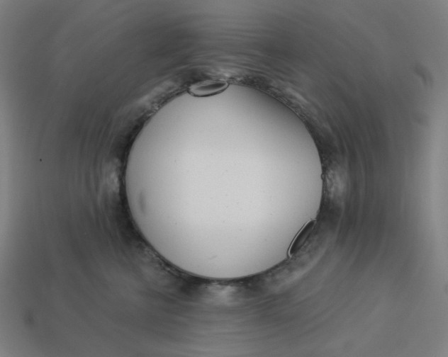 X0000113360570200910061042