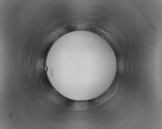 X0000113360571200910061042