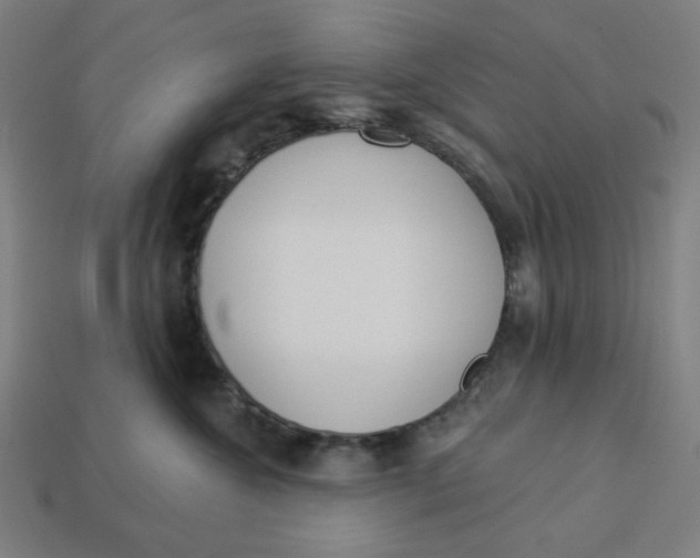 X0000113360572200910061042