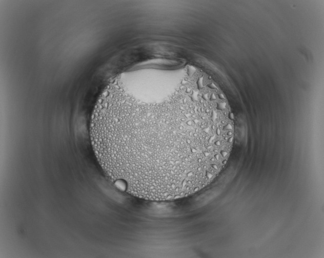 X0000113360573200910061042