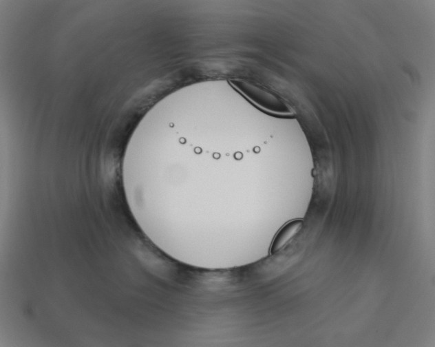 X0000113360574200910061042