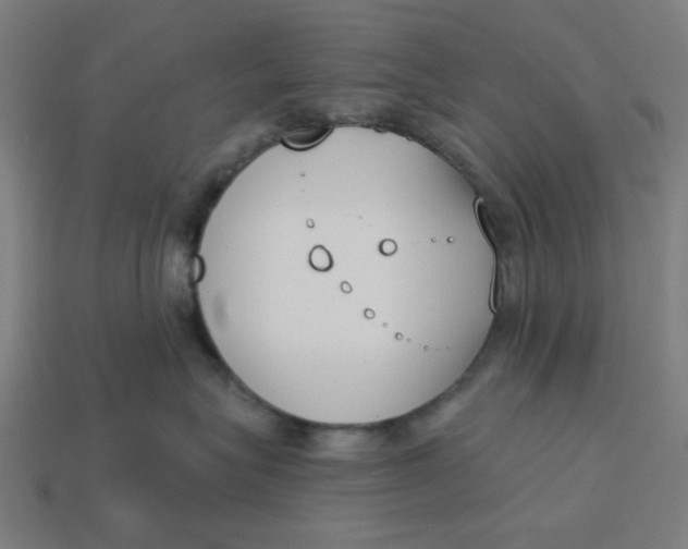 X0000113360575200910061042