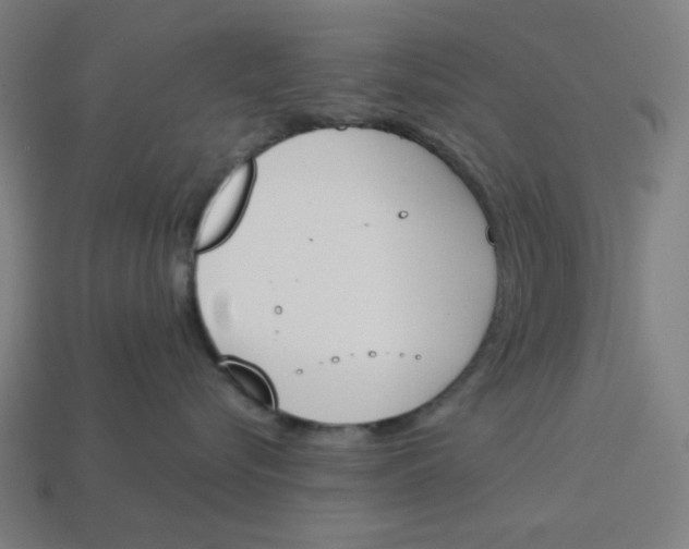 X0000113360576200910061042