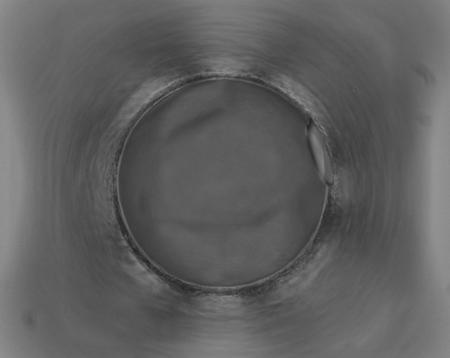 X0000113360577200910061042