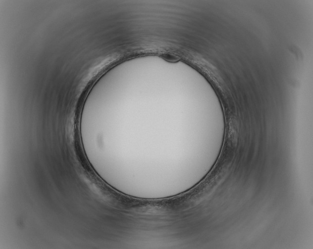 X0000113360578200910061042