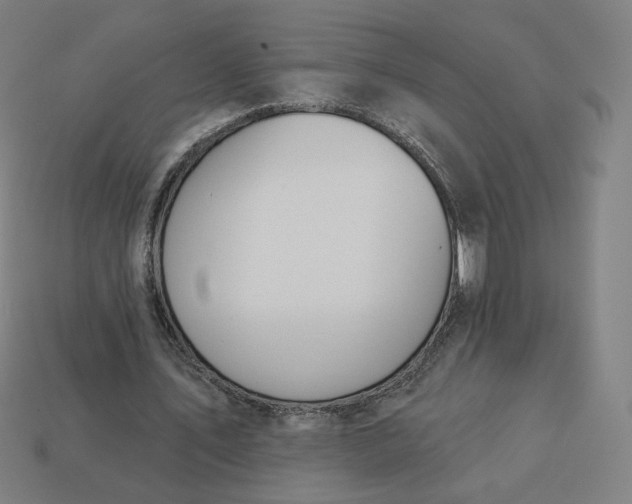 X0000113360579200910061042