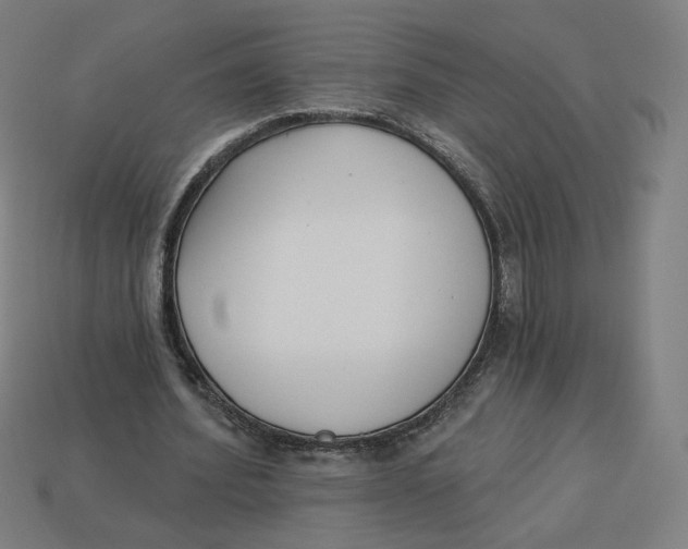 X0000113360580200910061042