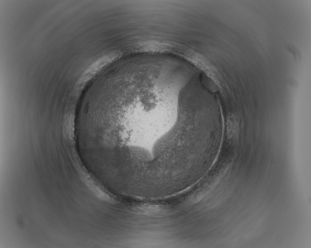 X0000113360581200910061042