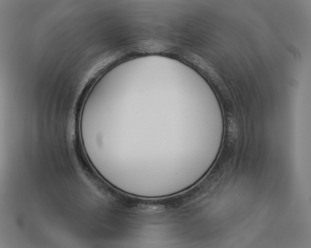 X0000113360582200910061042