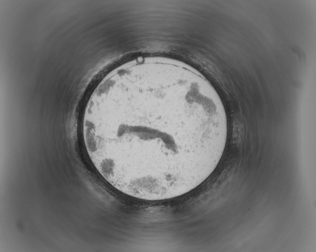 X0000113360584200910061042