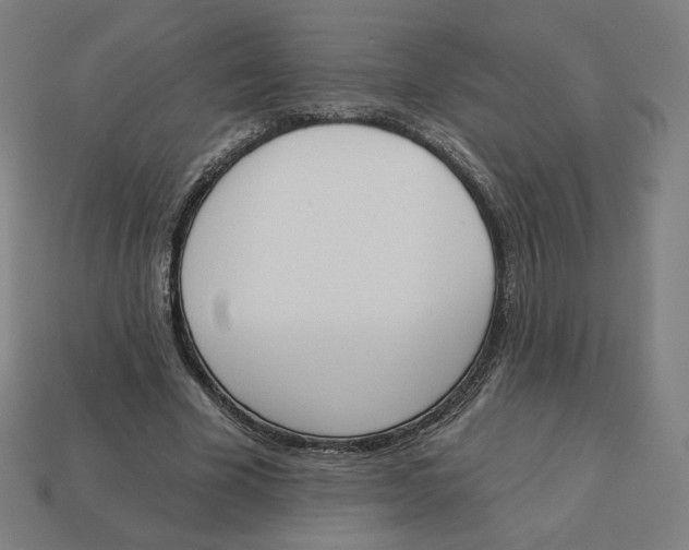 X0000113360585200910061042