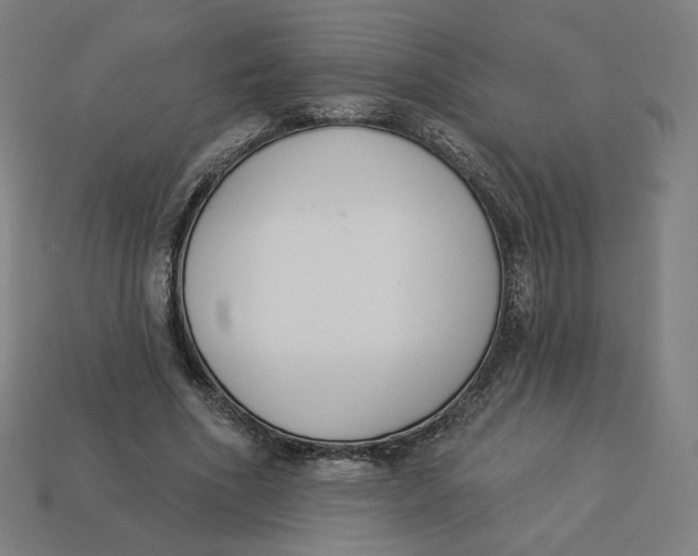 X0000113360586200910061042