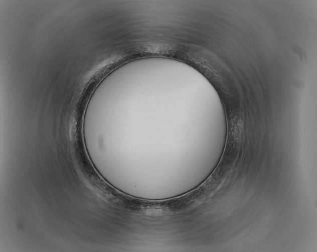 X0000113360587200910061042