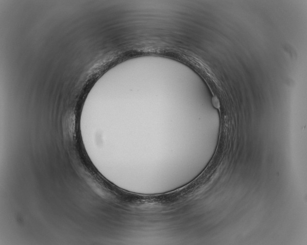 X0000113360589200910061042