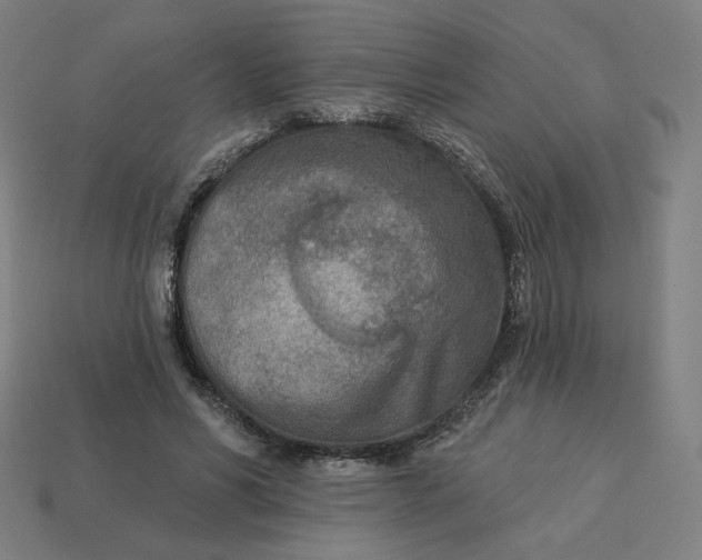 X0000113360590200910061042