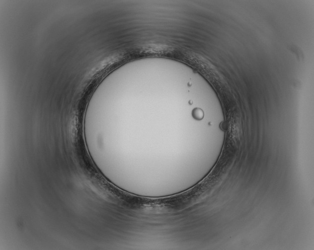 X0000113360591200910061041