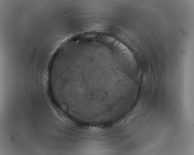 X0000113360592200910061041