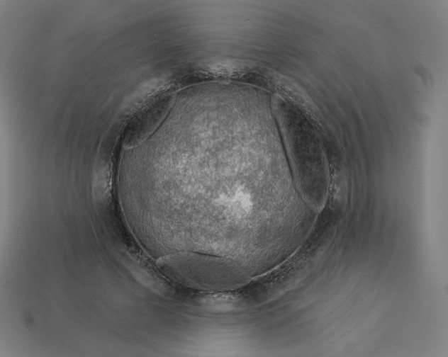 X0000113360593200910061041