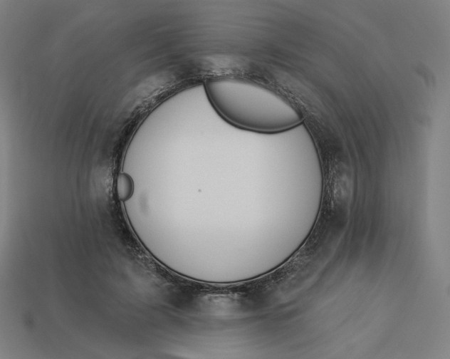 X0000113360595200910061041