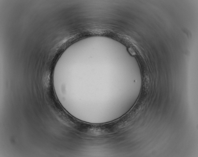 X0000113360596200910061041