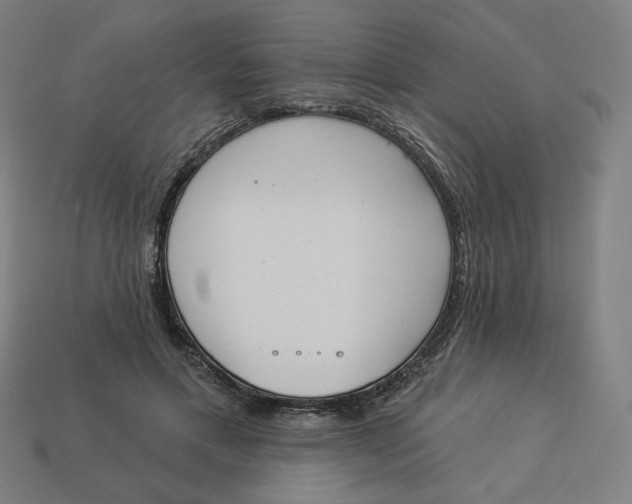 X0000113360597200910061041