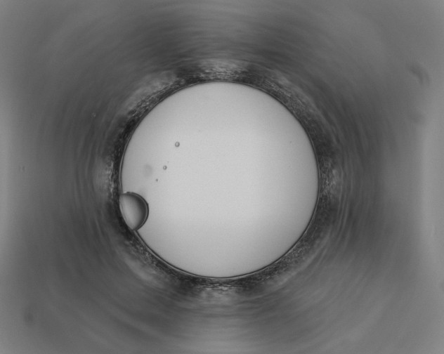 X0000113360599200910061041