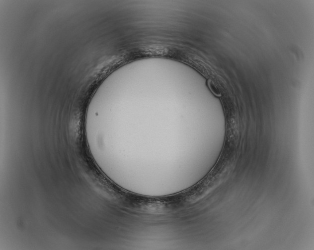 X0000113360600200910061041