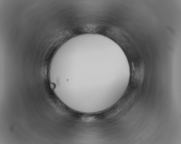 X0000113360602200910061041