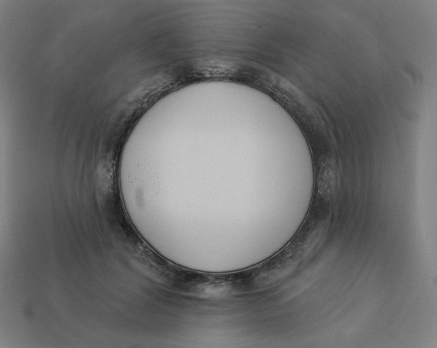 X0000113360604200910061041