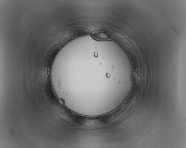 X0000113360605200910061041