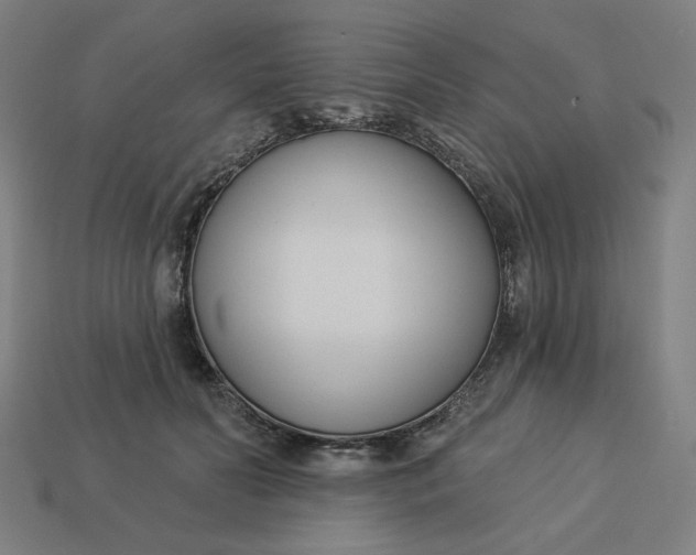 X0000113360606200910061041