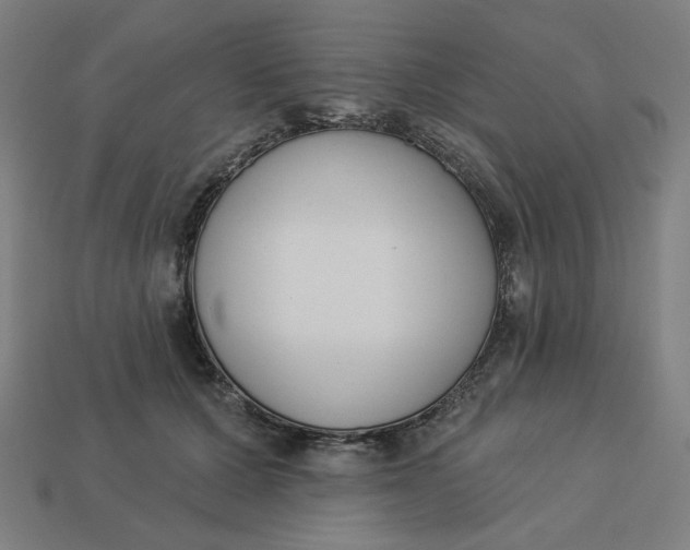 X0000113360607200910061041