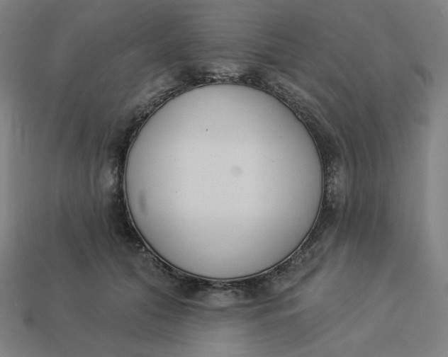 X0000113360608200910061041