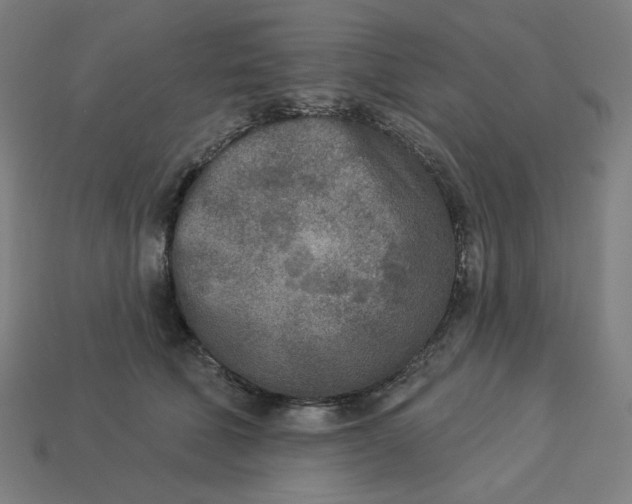 X0000113360610200910061041