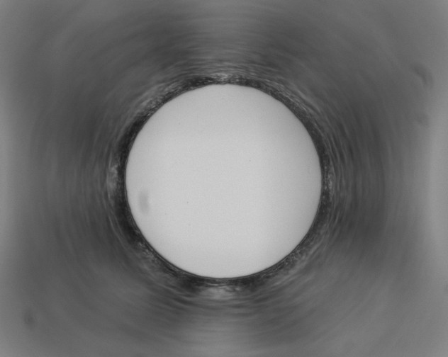 X0000113360611200910061041