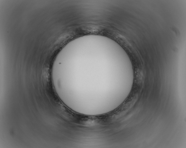 X0000113360612200910061041