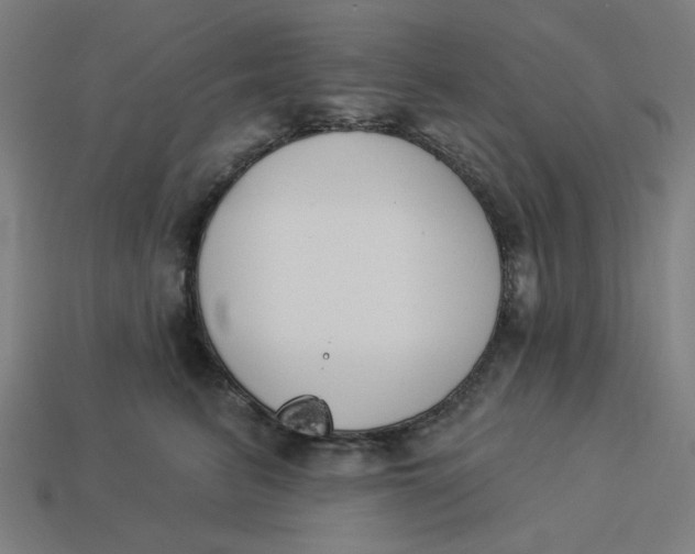 X0000113360615200910061041