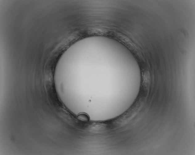 X0000113360617200910061041