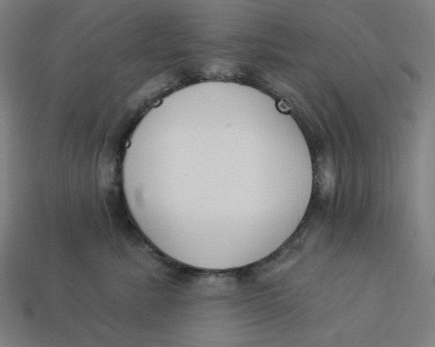 X0000113360619200910061041