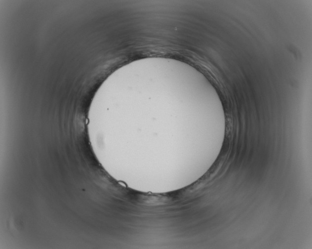 X0000113360621200910061041