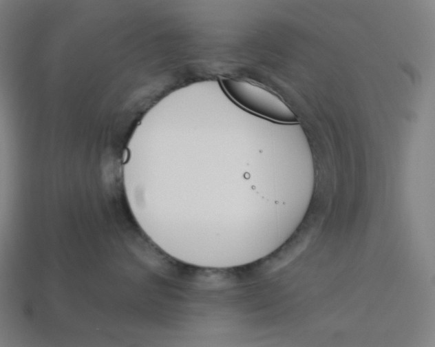 X0000113360624200910061041