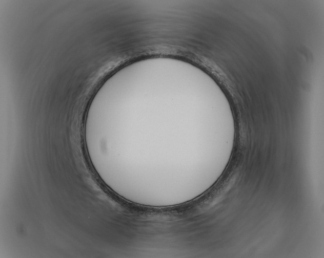 X0000113360625200910061040