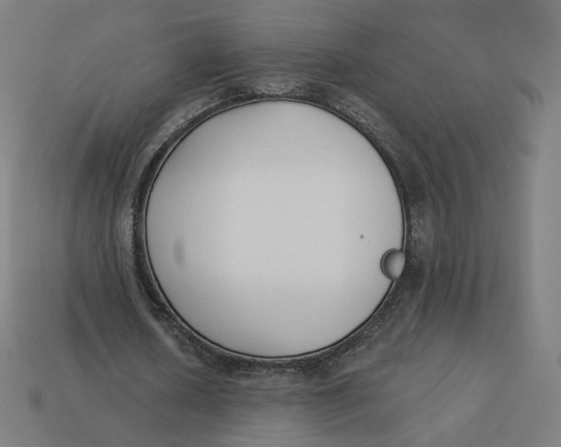 X0000113360626200910061040