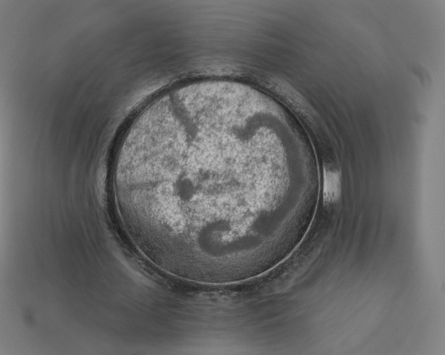 X0000113360627200910061040