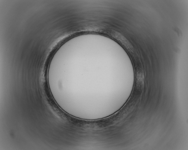 X0000113360628200910061041