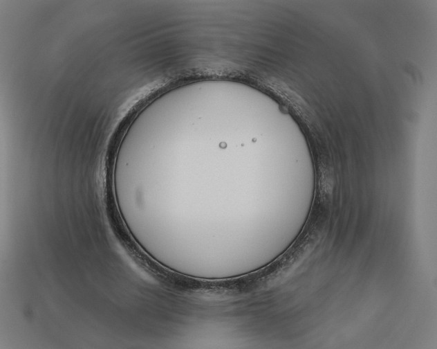 X0000113360630200910061041